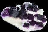 Dark Purple Cubic Fluorite on Quartz - Exceptional! #39004-2